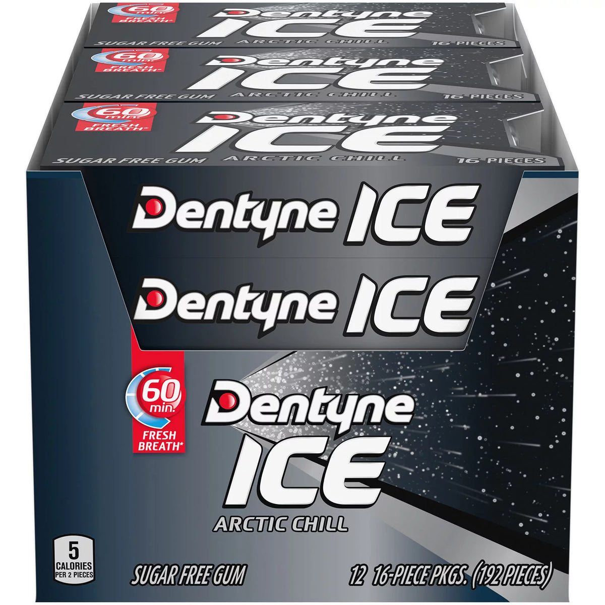 Dentyne Sugar Free Gum Packs, Iced Arctic Chill, 12 ea