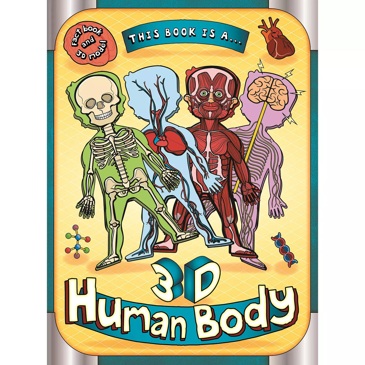 This Book Is A . . . 3D Human Body, 1 ea