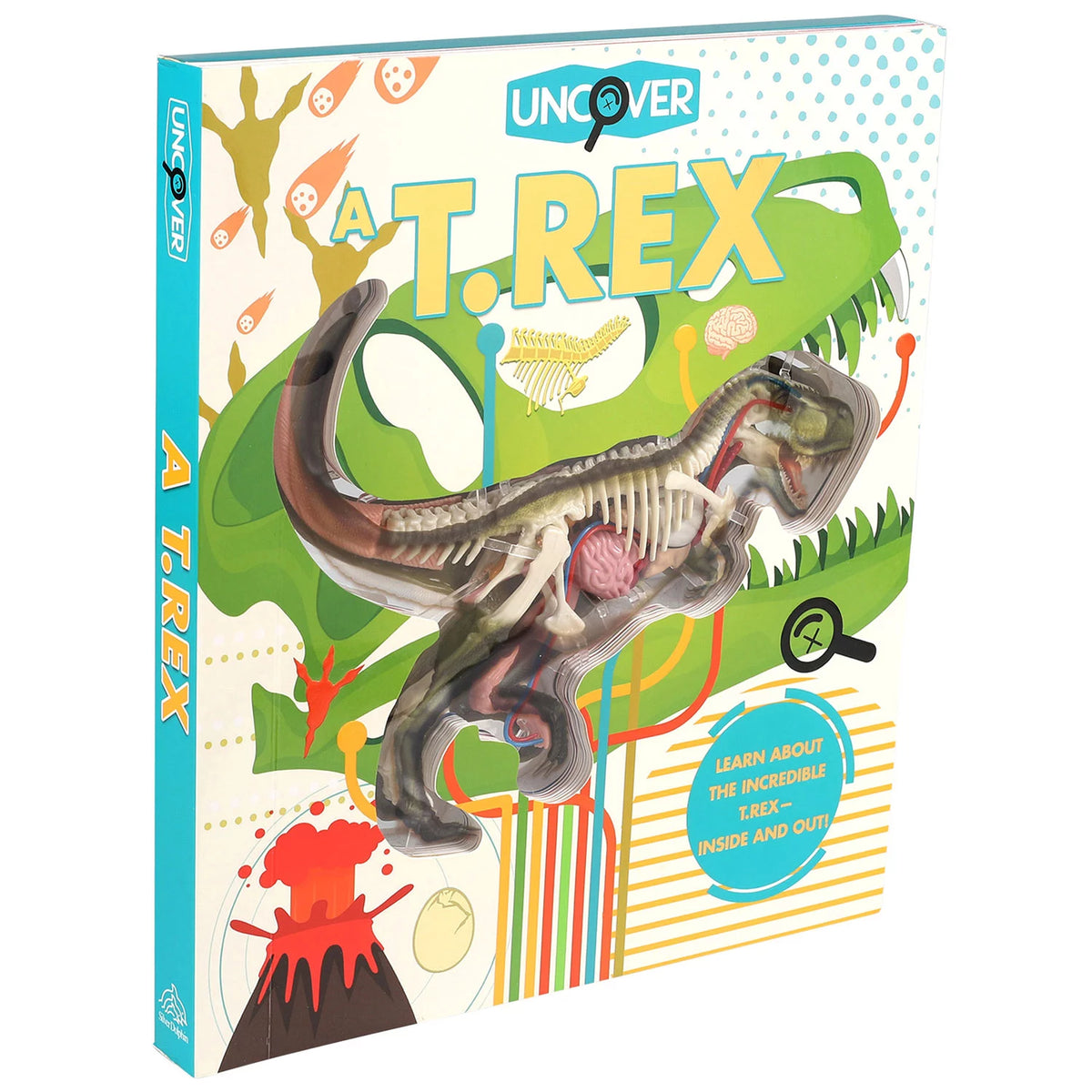 Uncover a T.Rex, 1 ea
