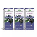 Sambucus Standardized Elderberry Original Syrup Pack, 3 ea